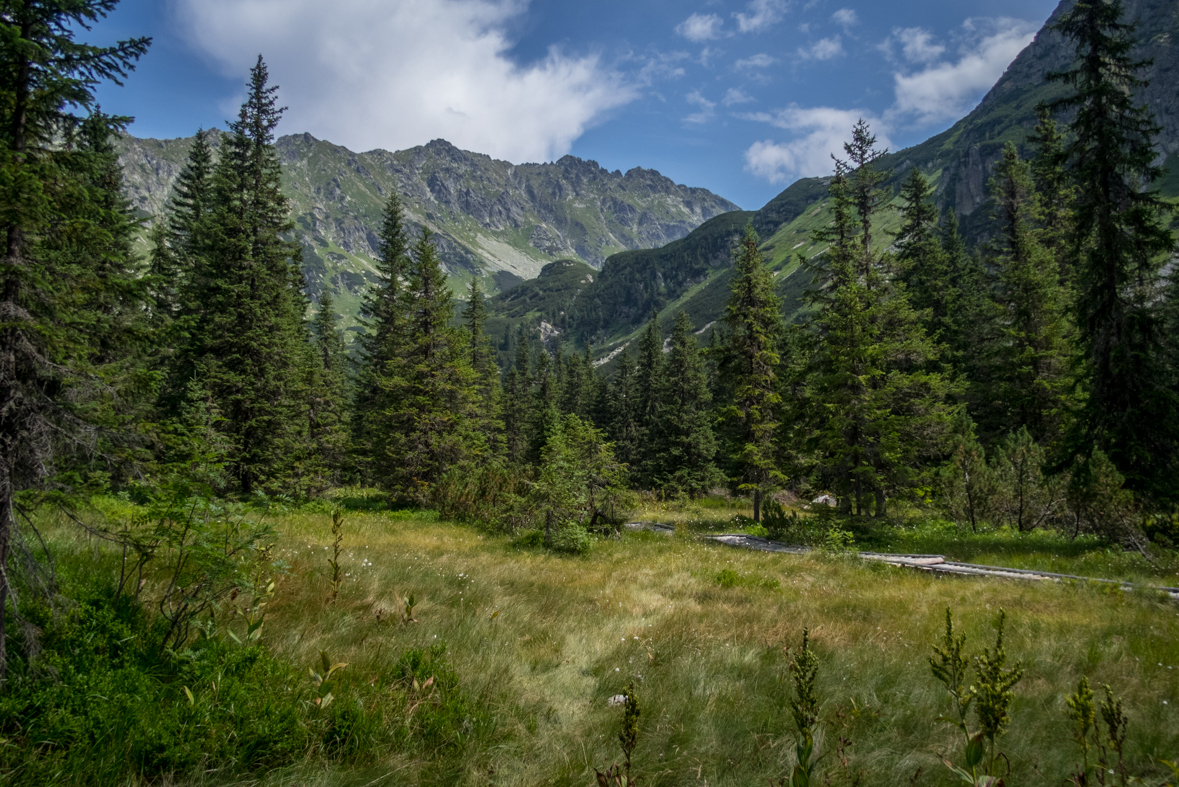 Hladké sedlo z Troch studničiek (Vysoké Tatry)