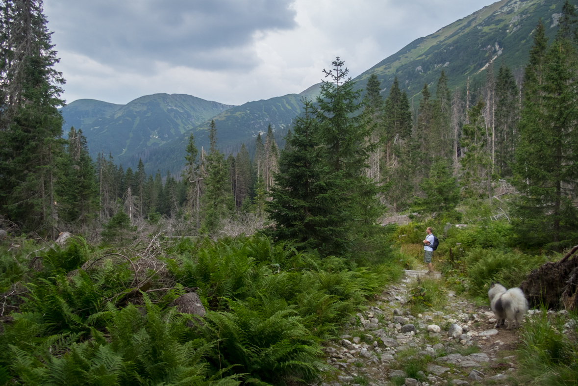 Hladké sedlo z Troch studničiek (Vysoké Tatry)