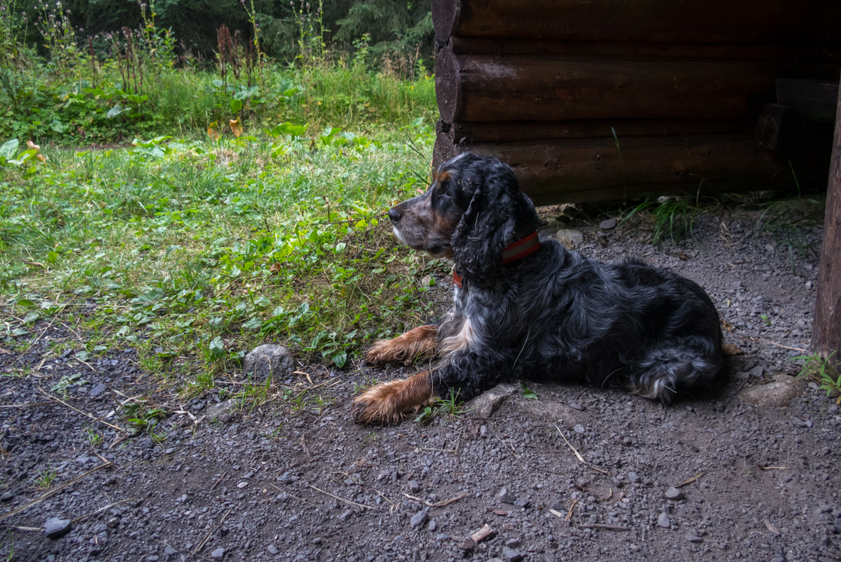 Hladké sedlo z Troch studničiek (Vysoké Tatry)