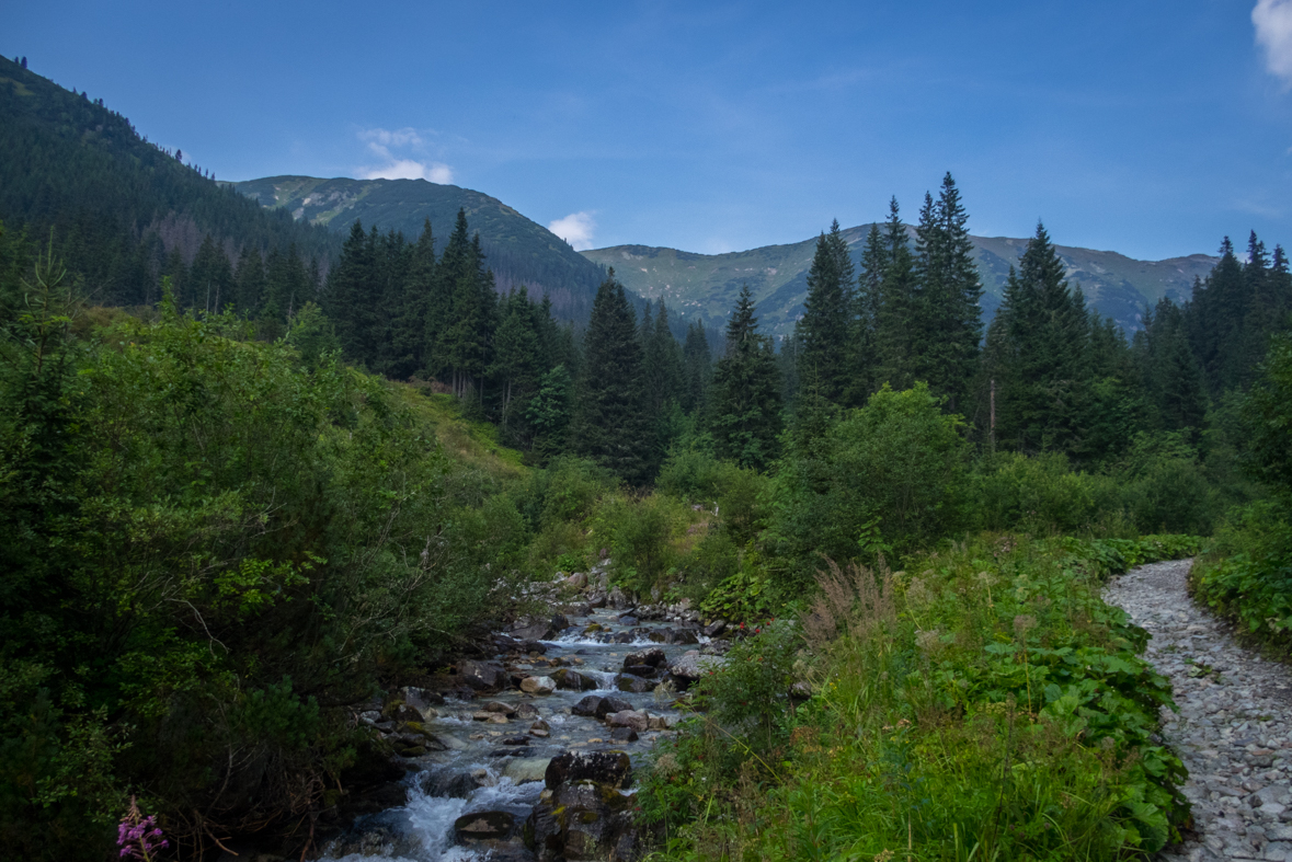 Hladké sedlo z Troch studničiek (Vysoké Tatry)