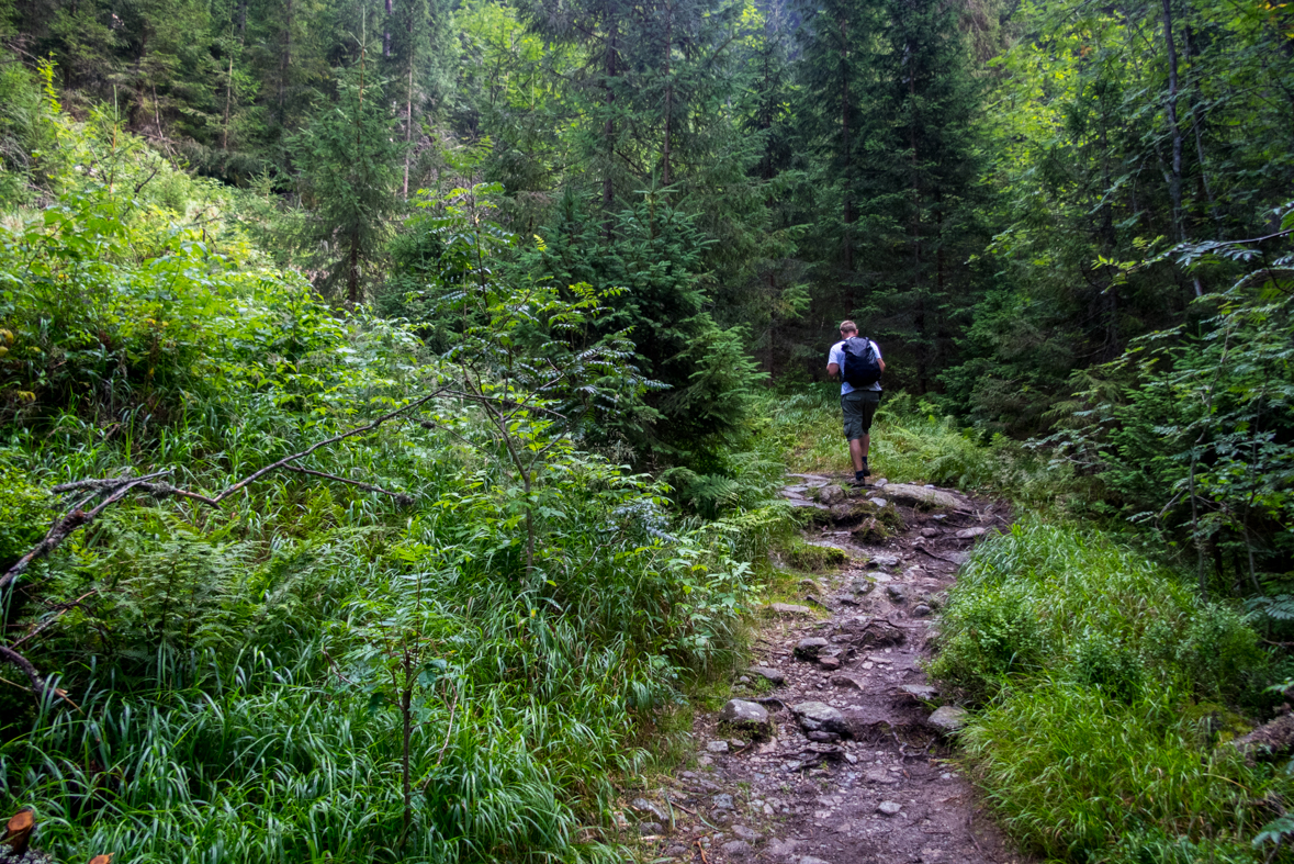 Hladké sedlo z Troch studničiek (Vysoké Tatry)