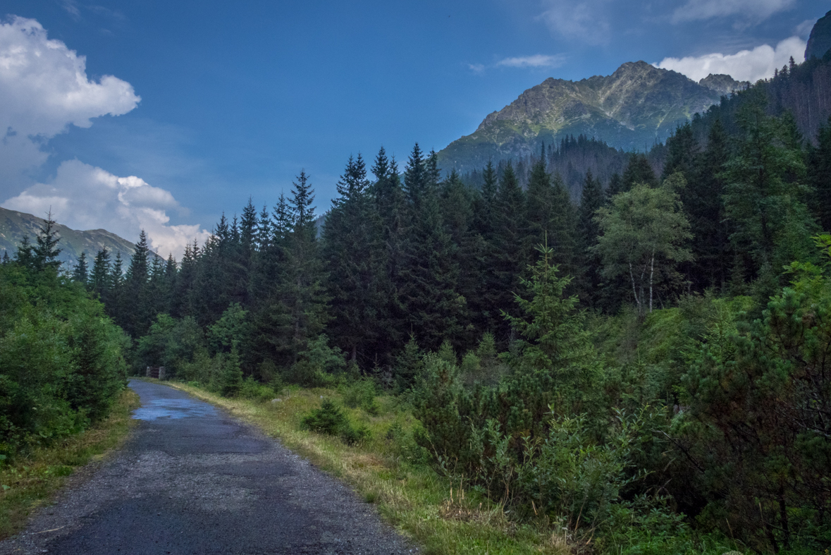 Hladké sedlo z Troch studničiek (Vysoké Tatry)