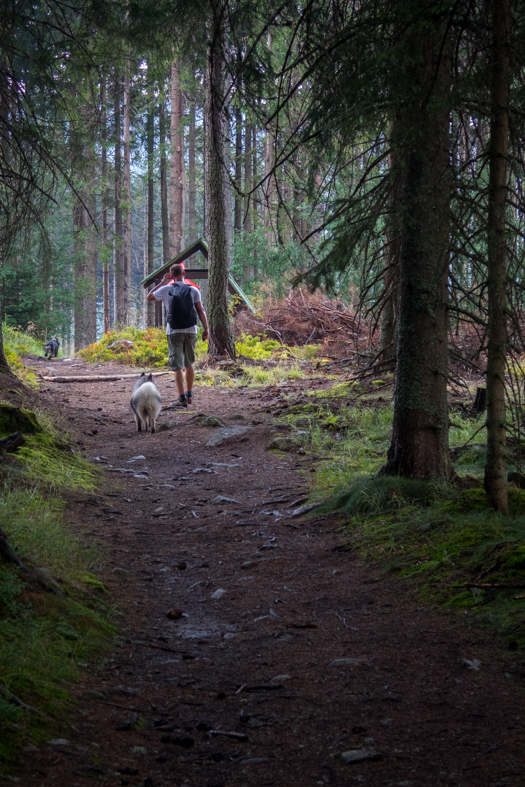 Hladké sedlo z Troch studničiek (Vysoké Tatry)