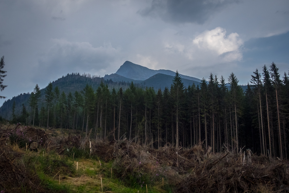 Hladké sedlo z Troch studničiek (Vysoké Tatry)