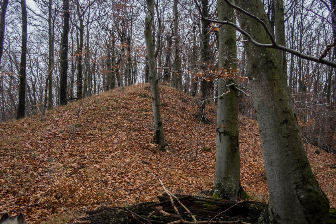 Hrad Parušťan z Dargovského priesmyku (Slanské vrchy)