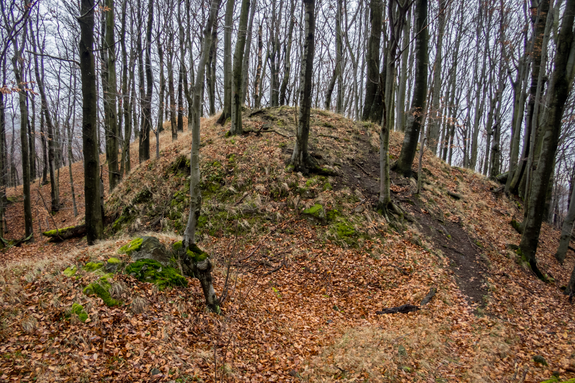 Hrad Parušťan z Dargovského priesmyku (Slanské vrchy)