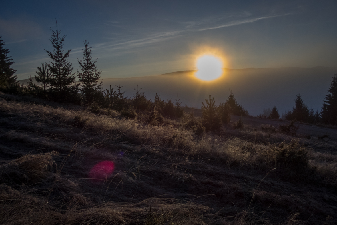 Kráľova hoľa zo Šumiaca (Nízke Tatry)