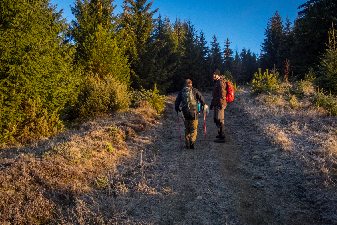 Kráľova hoľa zo Šumiaca (Nízke Tatry)