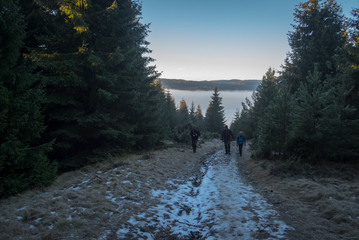 Kráľova hoľa zo Šumiaca (Nízke Tatry)