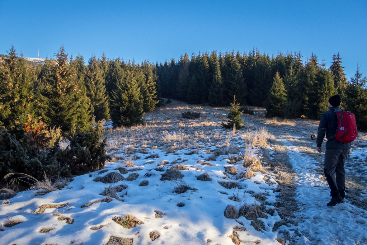 Kráľova hoľa zo Šumiaca (Nízke Tatry)