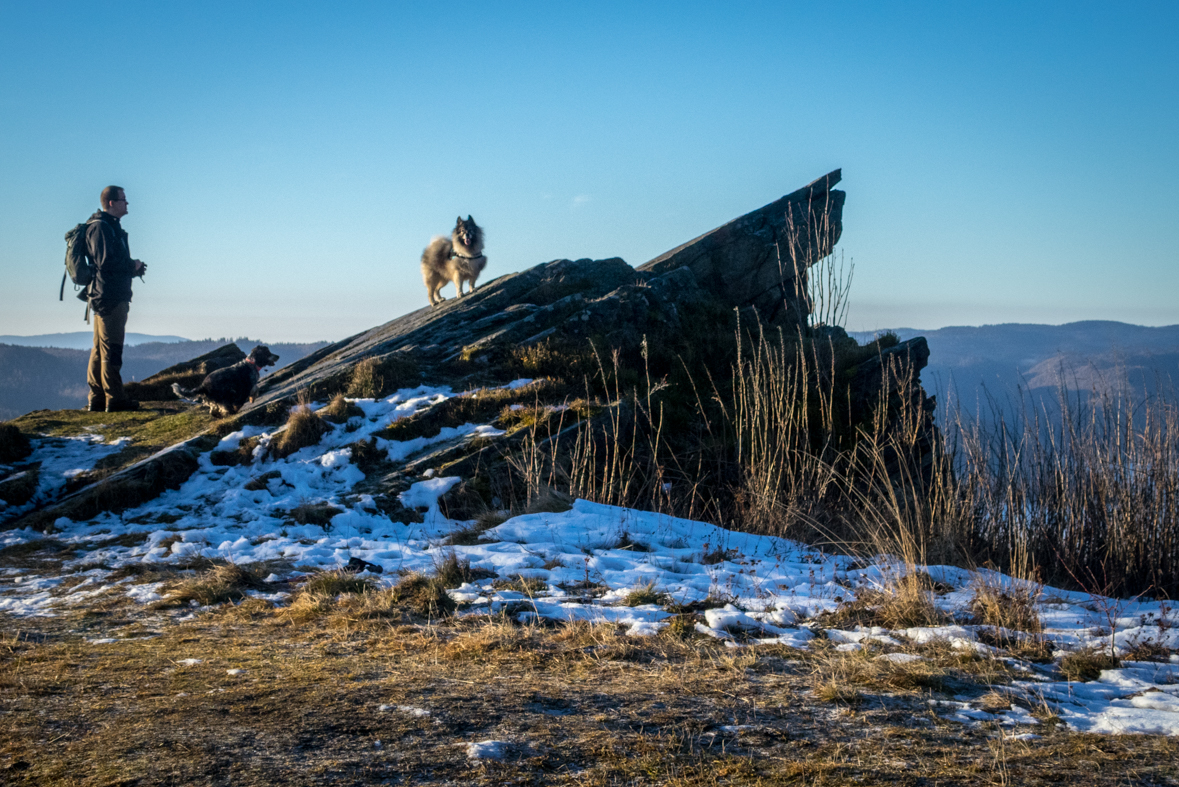 Kráľova hoľa zo Šumiaca (Nízke Tatry)