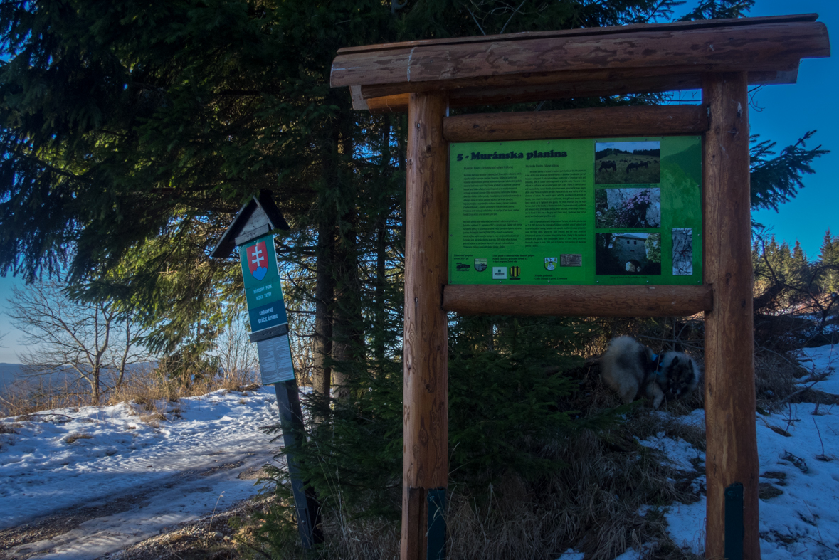 Kráľova hoľa zo Šumiaca (Nízke Tatry)