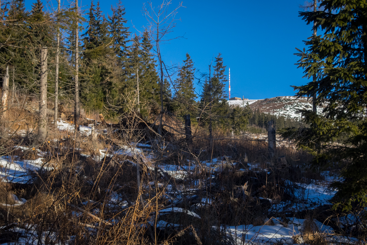 Kráľova hoľa zo Šumiaca (Nízke Tatry)