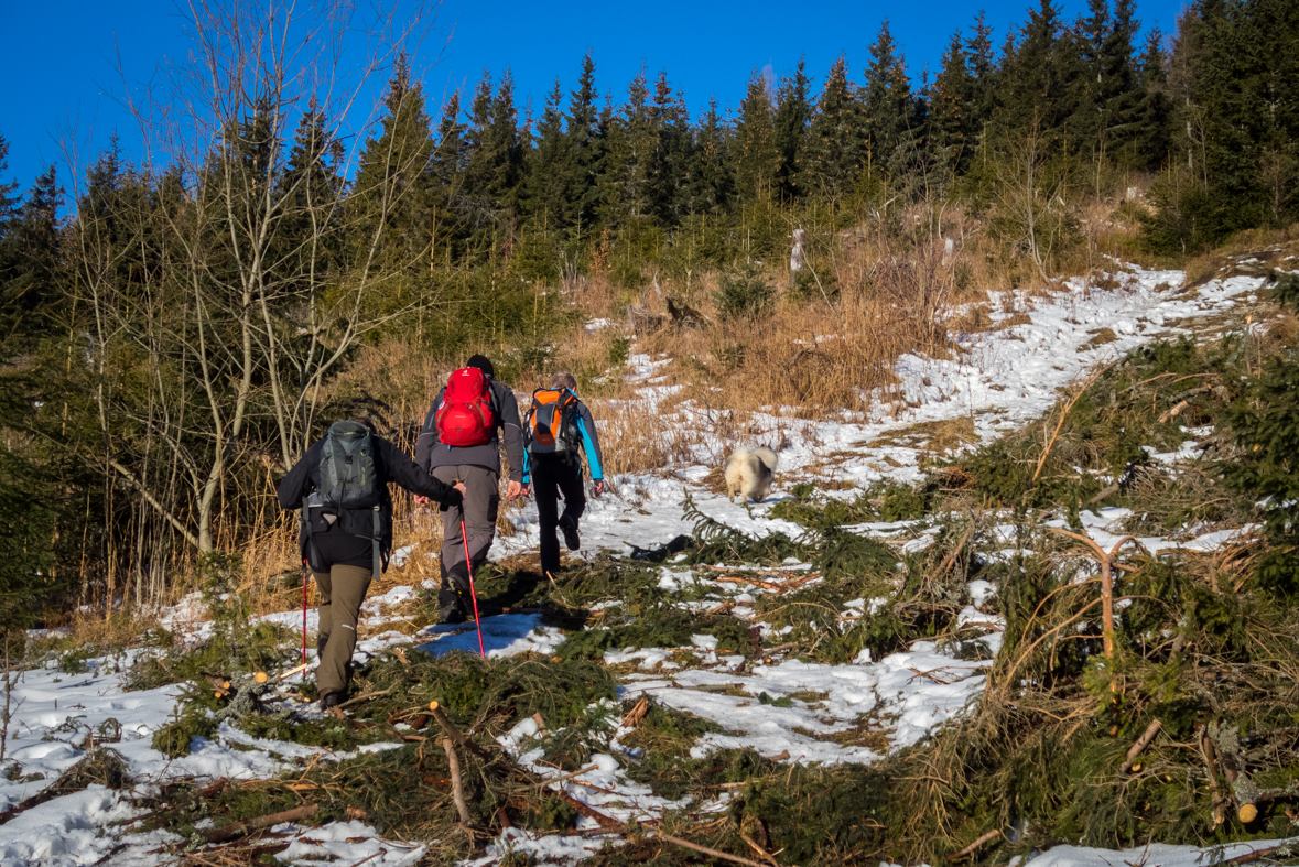 Kráľova hoľa zo Šumiaca (Nízke Tatry)