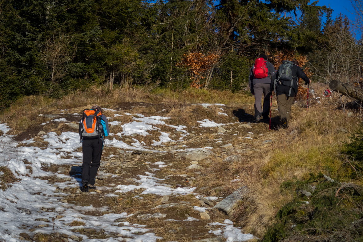 Kráľova hoľa zo Šumiaca (Nízke Tatry)