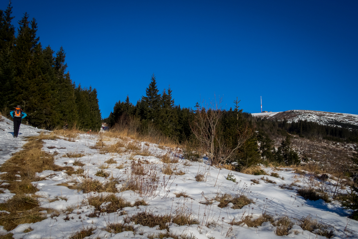 Kráľova hoľa zo Šumiaca (Nízke Tatry)