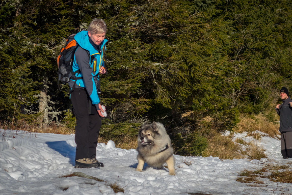 Kráľova hoľa zo Šumiaca (Nízke Tatry)