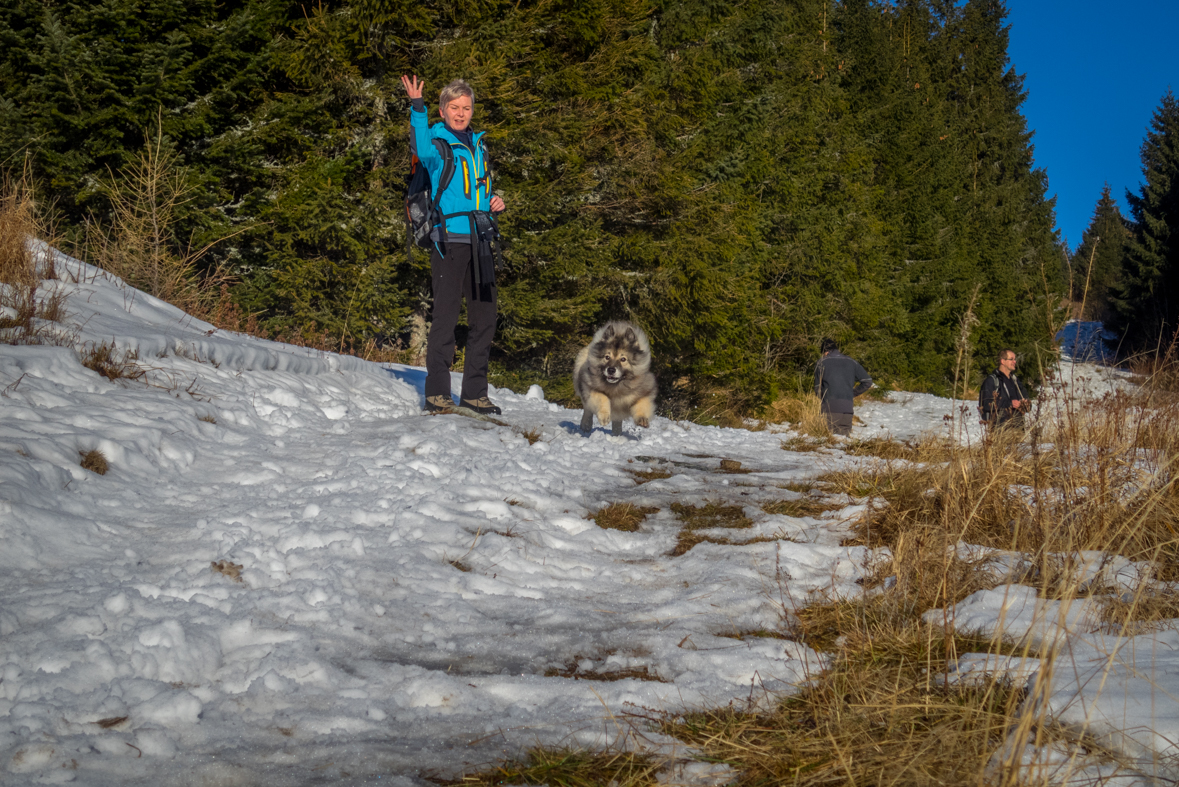 Kráľova hoľa zo Šumiaca (Nízke Tatry)