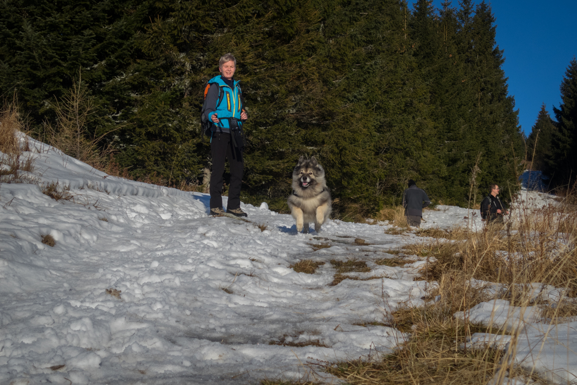 Kráľova hoľa zo Šumiaca (Nízke Tatry)