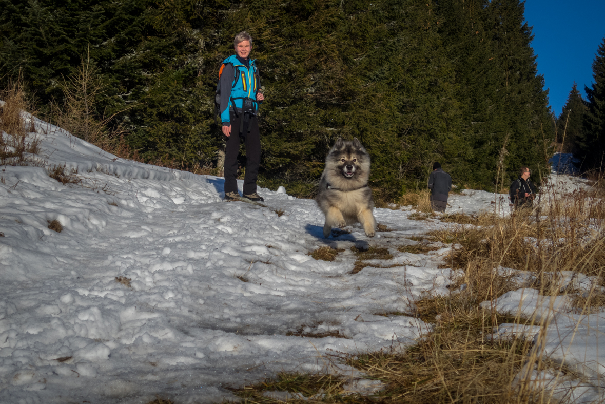 Kráľova hoľa zo Šumiaca (Nízke Tatry)