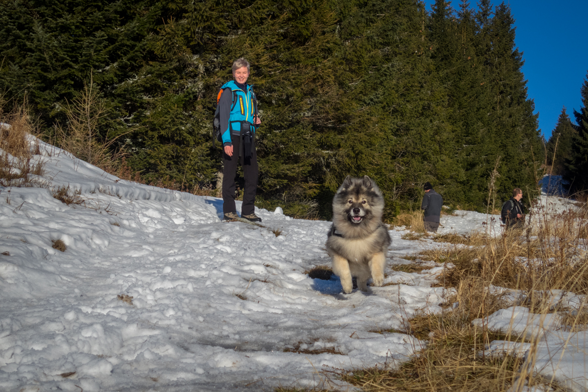 Kráľova hoľa zo Šumiaca (Nízke Tatry)