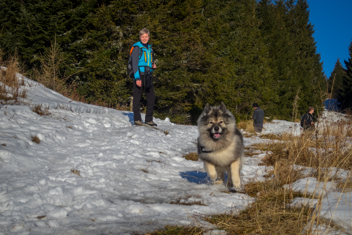 Kráľova hoľa zo Šumiaca (Nízke Tatry)