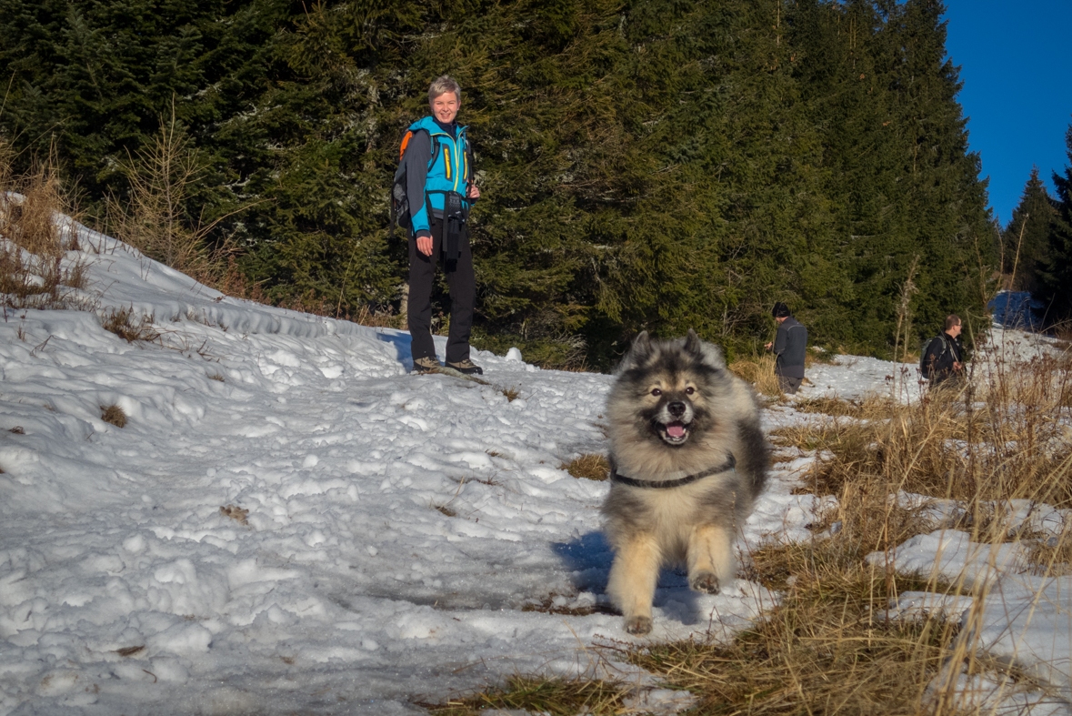 Kráľova hoľa zo Šumiaca (Nízke Tatry)