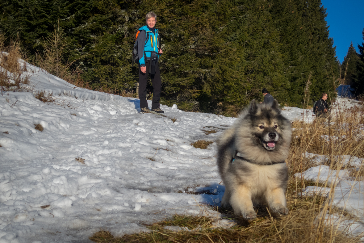 Kráľova hoľa zo Šumiaca (Nízke Tatry)