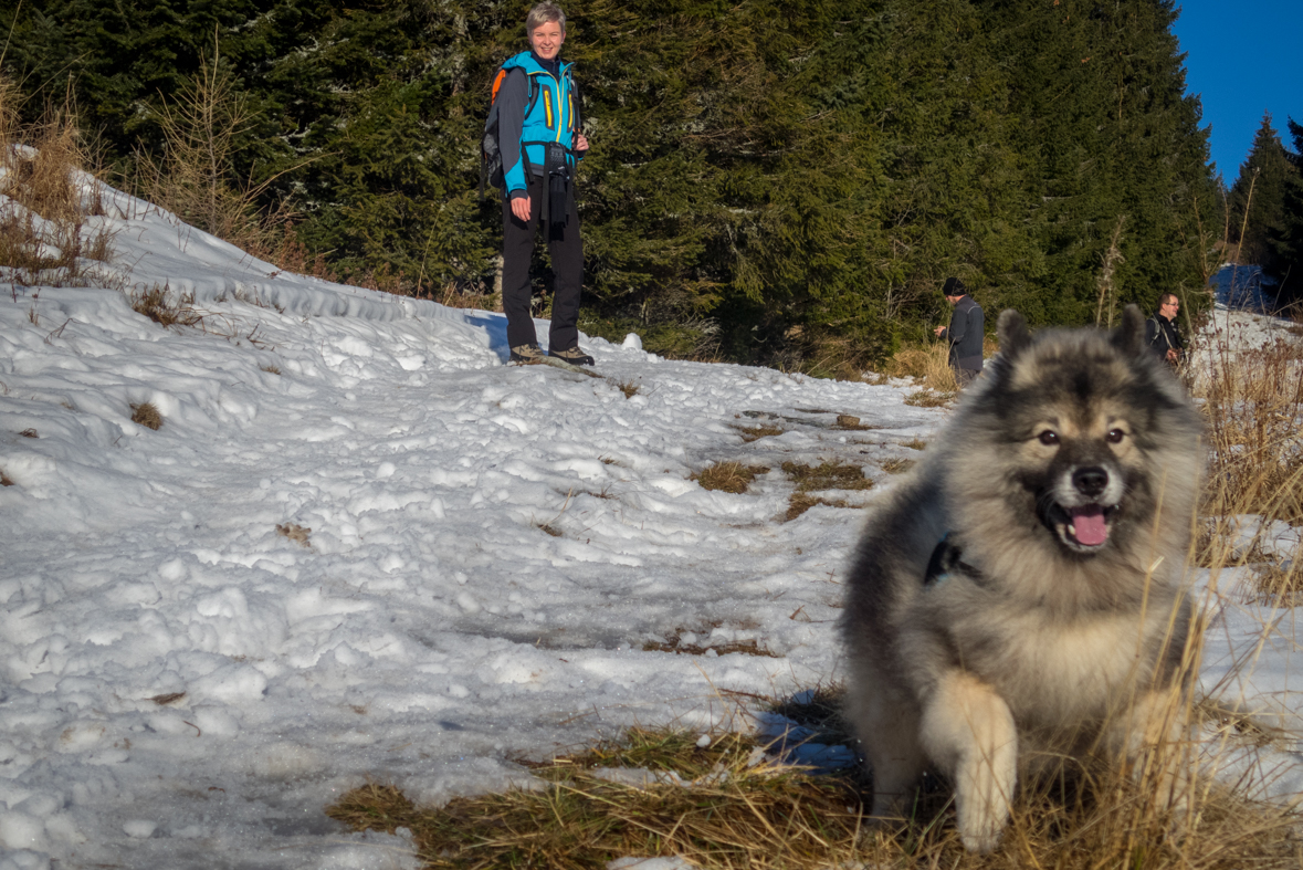 Kráľova hoľa zo Šumiaca (Nízke Tatry)