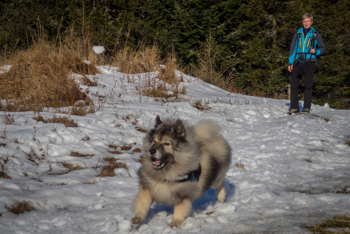 Kráľova hoľa zo Šumiaca (Nízke Tatry)