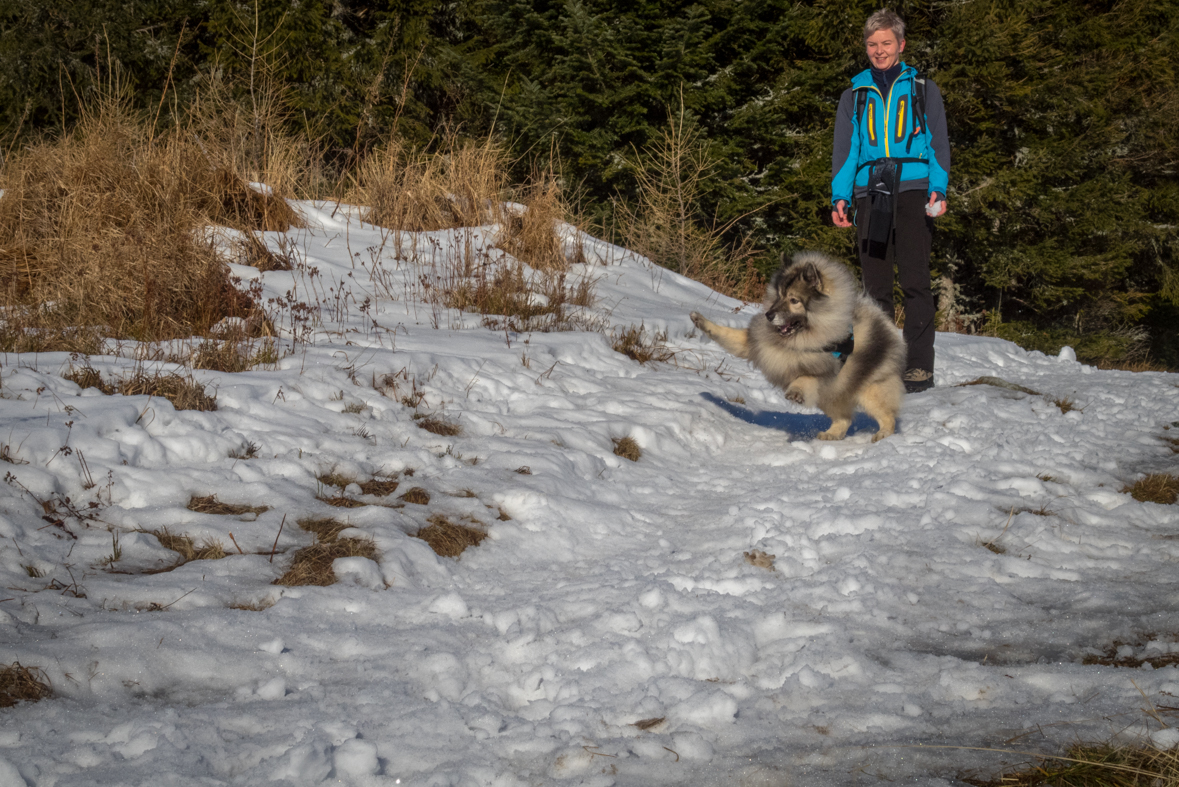 Kráľova hoľa zo Šumiaca (Nízke Tatry)