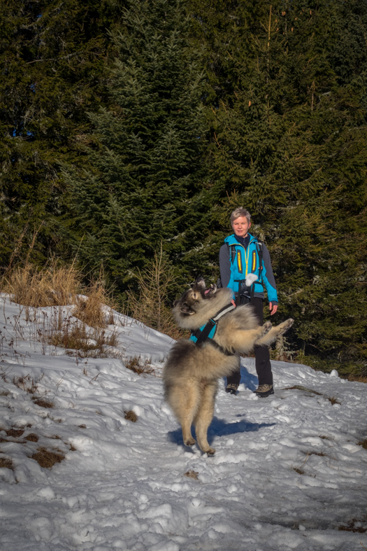 Kráľova hoľa zo Šumiaca (Nízke Tatry)