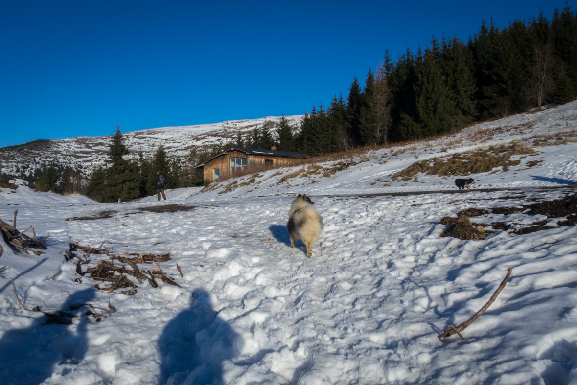 Kráľova hoľa zo Šumiaca (Nízke Tatry)