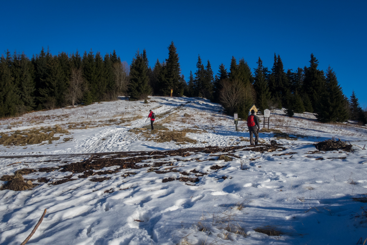 Kráľova hoľa zo Šumiaca (Nízke Tatry)