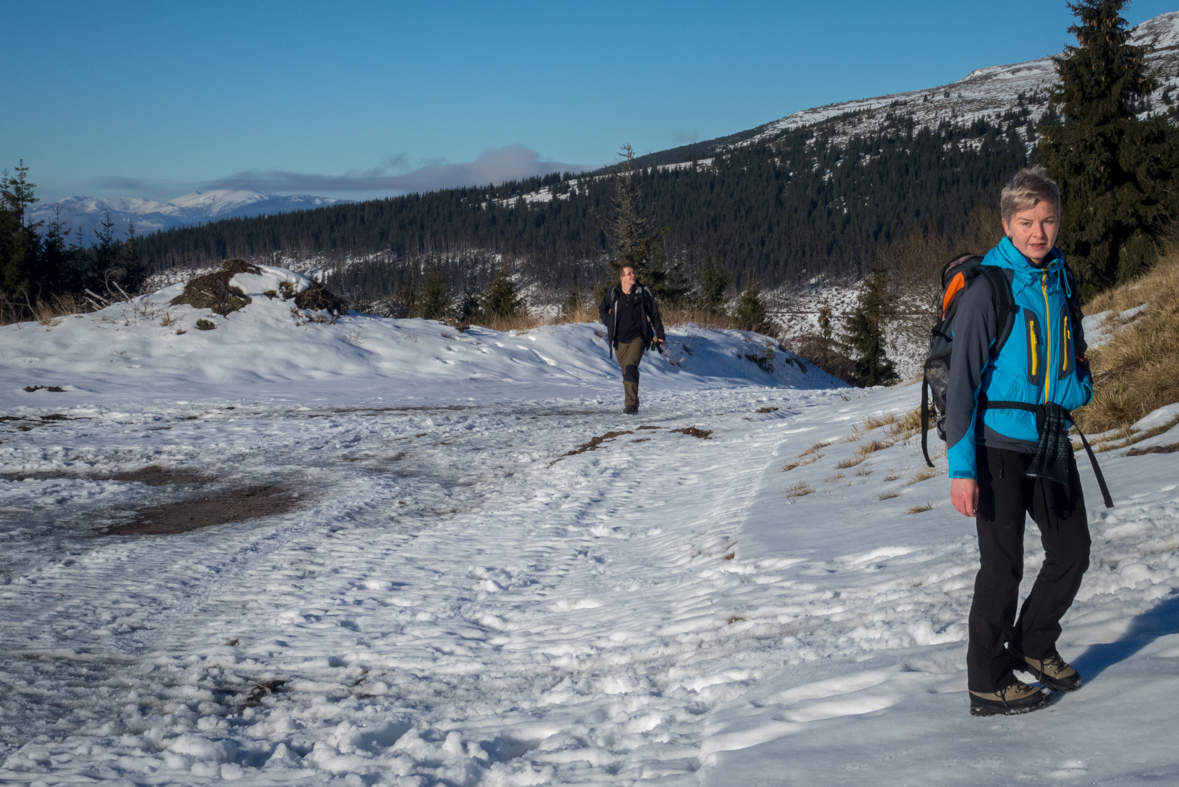 Kráľova hoľa zo Šumiaca (Nízke Tatry)