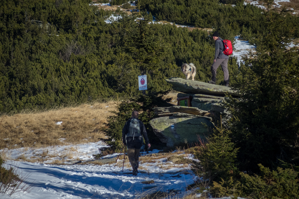 Kráľova hoľa zo Šumiaca (Nízke Tatry)