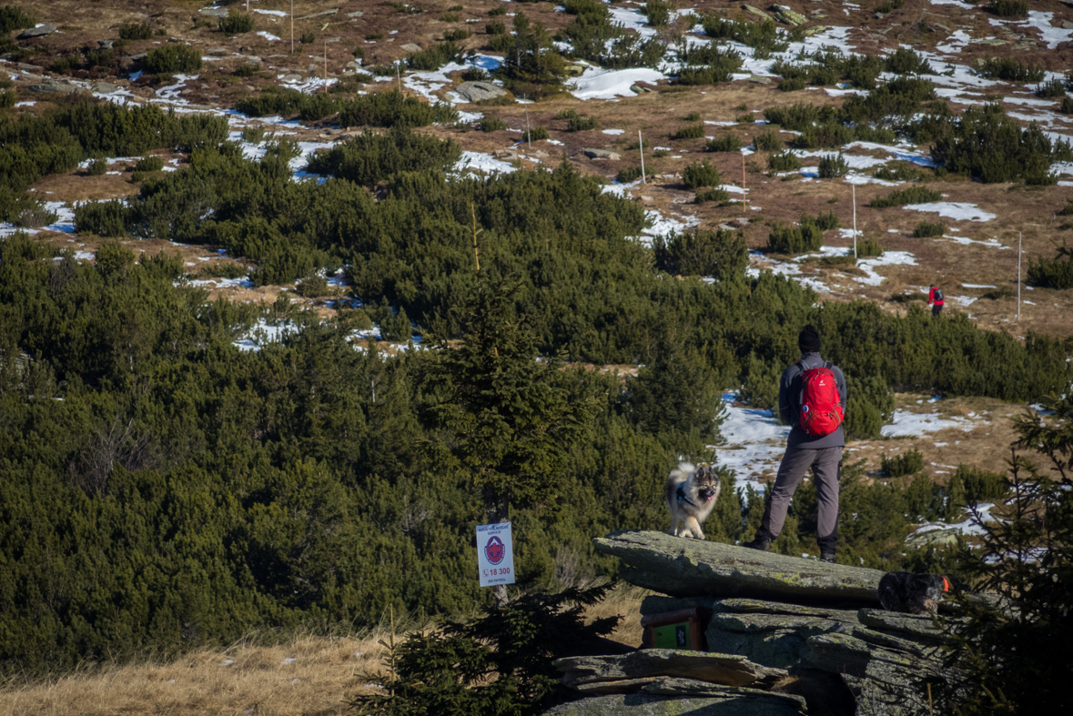 Kráľova hoľa zo Šumiaca (Nízke Tatry)