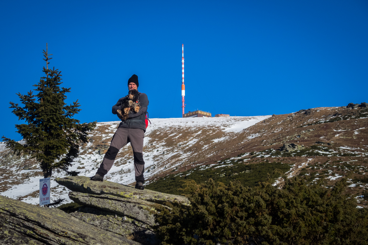 Kráľova hoľa zo Šumiaca (Nízke Tatry)