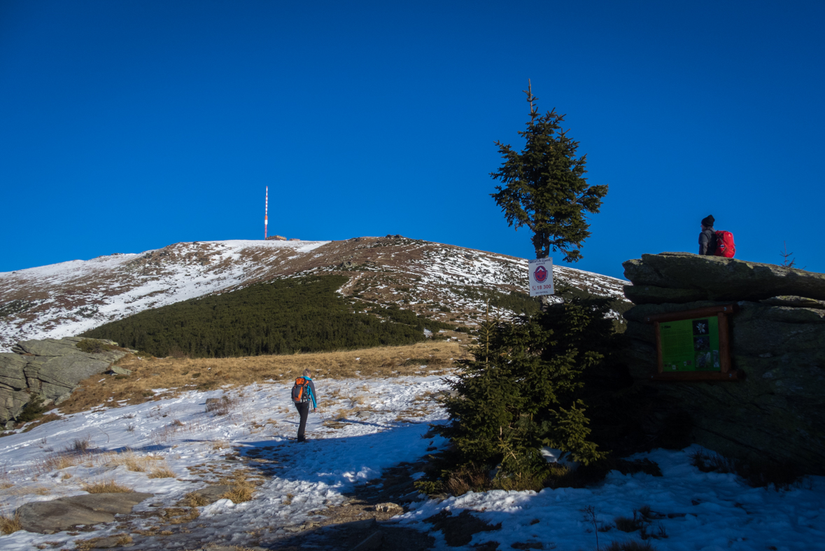 Kráľova hoľa zo Šumiaca (Nízke Tatry)