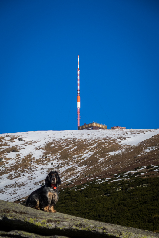 Kráľova hoľa zo Šumiaca (Nízke Tatry)