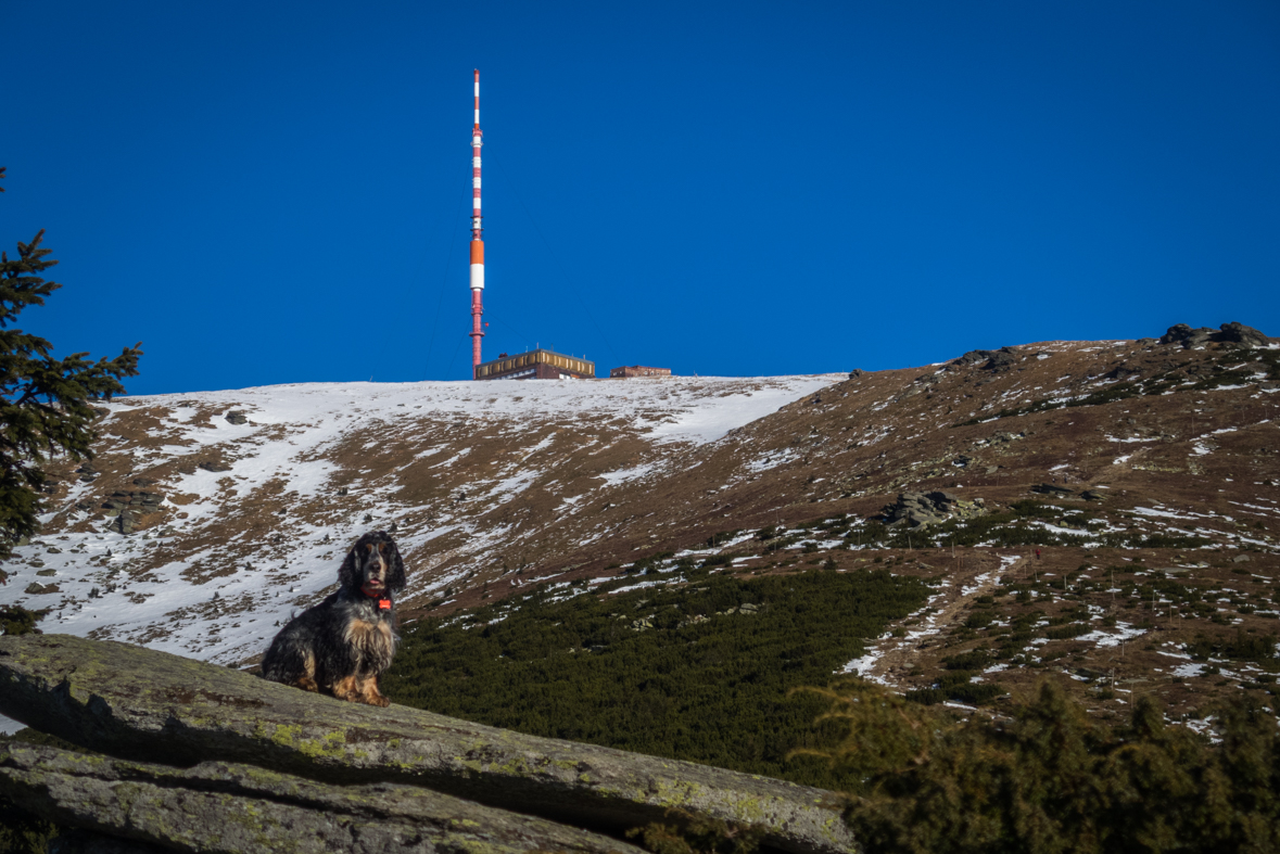 Kráľova hoľa zo Šumiaca (Nízke Tatry)