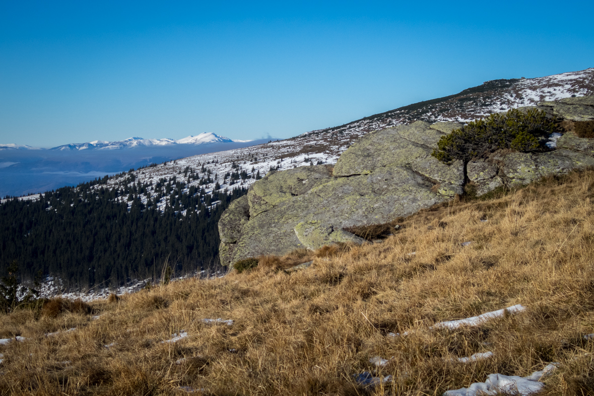 Kráľova hoľa zo Šumiaca (Nízke Tatry)