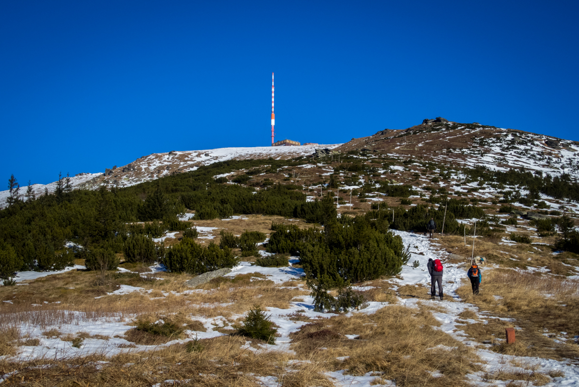 Kráľova hoľa zo Šumiaca (Nízke Tatry)