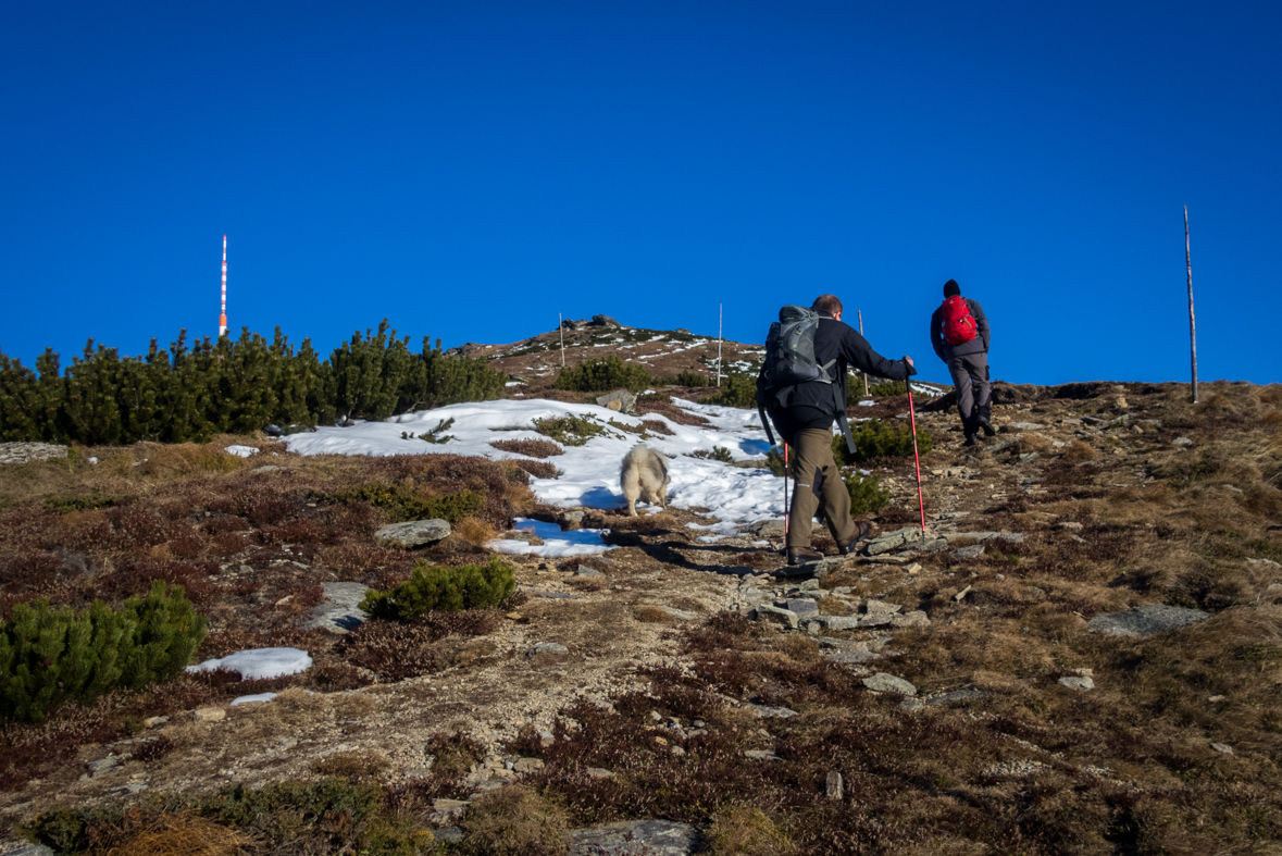 Kráľova hoľa zo Šumiaca (Nízke Tatry)