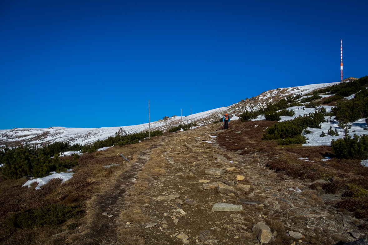 Kráľova hoľa zo Šumiaca (Nízke Tatry)