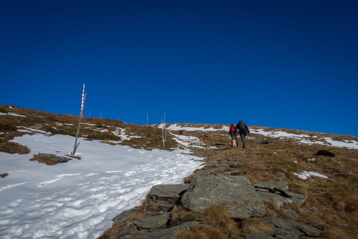 Kráľova hoľa zo Šumiaca (Nízke Tatry)