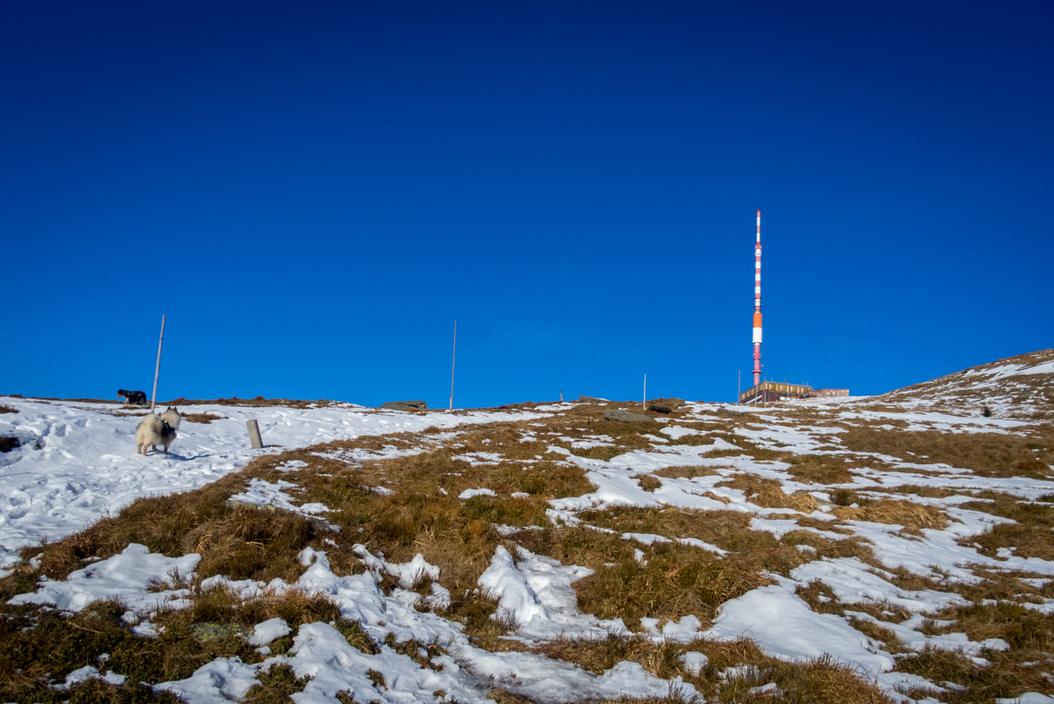 Kráľova hoľa zo Šumiaca (Nízke Tatry)