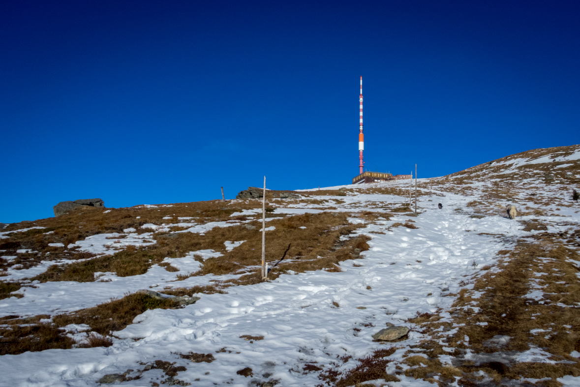 Kráľova hoľa zo Šumiaca (Nízke Tatry)