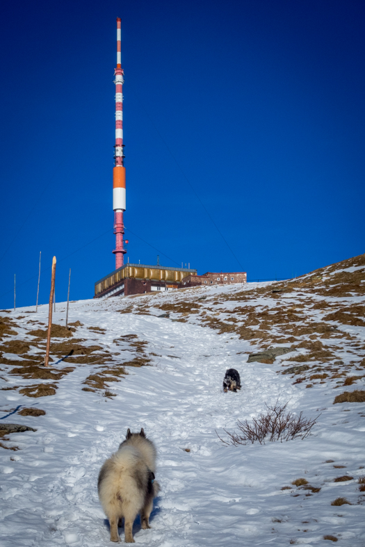 Kráľova hoľa zo Šumiaca (Nízke Tatry)