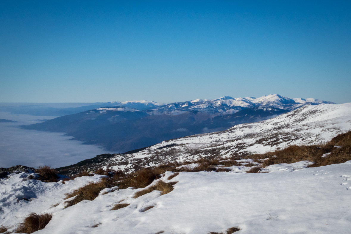 Kráľova hoľa zo Šumiaca (Nízke Tatry)